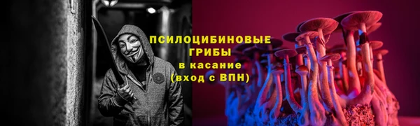 MDMA Заволжск