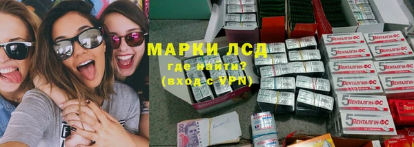 стаф Бердск