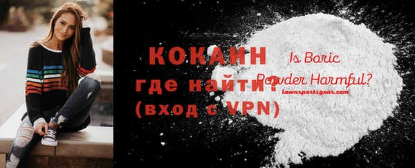 стаф Бердск