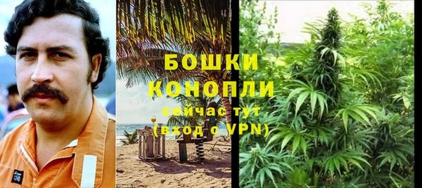 не бодяженный Заводоуковск
